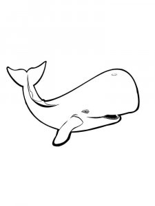 Whale coloring page - picture 19