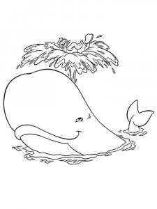 Whale coloring page - picture 7