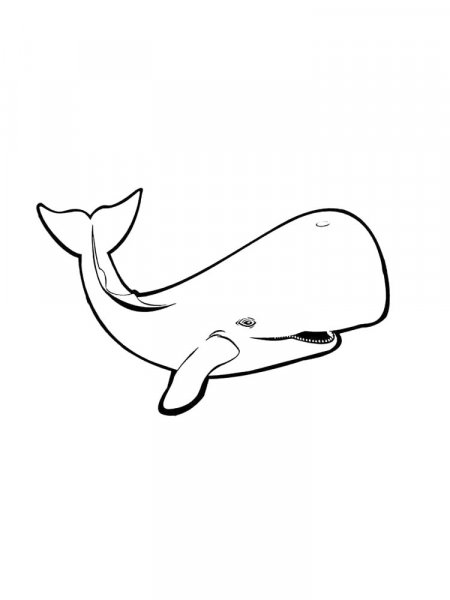 Whales coloring pages. Download and print whales coloring pages