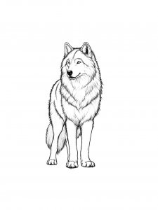 Wolf Coloring Pages 33