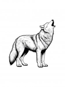 Wolf Coloring Pages 38
