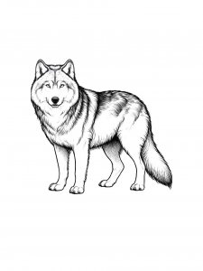 Wolf Coloring Pages 44