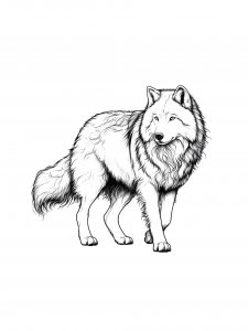 Wolf Coloring Pages 45