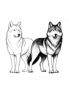 Wolf Coloring Pages 49