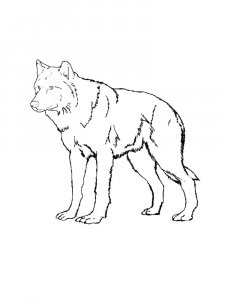 Wolf Coloring Pages 54