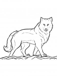 Wolf Coloring Pages 55