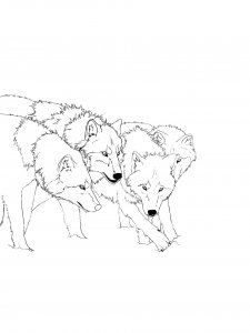 Wolf Coloring Pages 59
