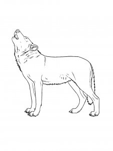 Wolf Coloring Pages 60