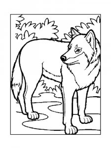 Wolf Coloring Pages 61