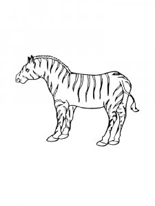 Zebra Coloring Pages 43