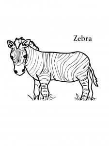 Zebra Coloring Pages 46