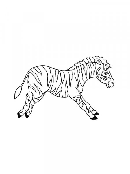 Zebra Coloring Pages