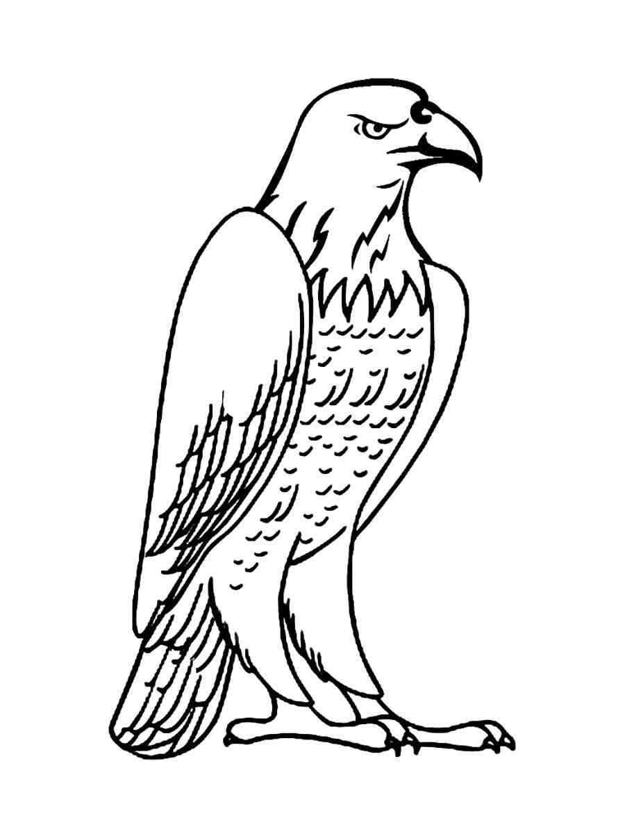 Bald Eagle coloring pages