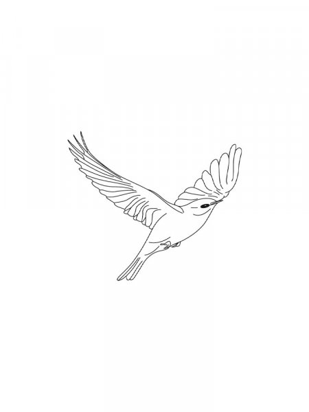 Bluebird coloring pages