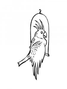 Cockatoos coloring page - picture 10