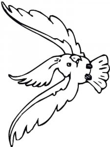 Cockatoos coloring page - picture 4