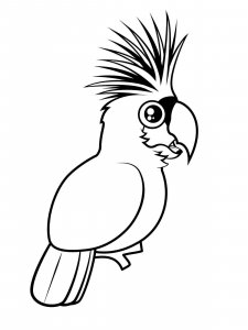 Cockatoos coloring page - picture 12