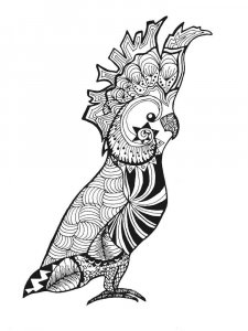 Cockatoos coloring page - picture 15