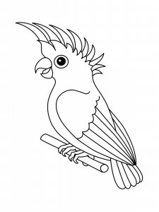 Cockatoos coloring page - picture 17