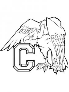 Condors coloring page - picture 11