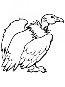 Condors coloring page - picture 4