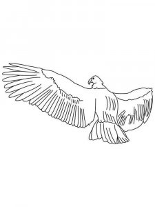 Condors coloring page - picture 7