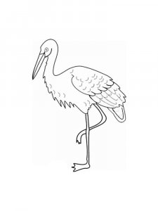 Crane bird coloring page - picture 2