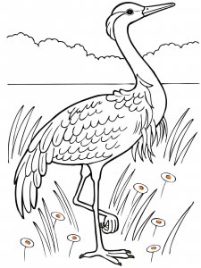 Crane bird coloring page - picture 18
