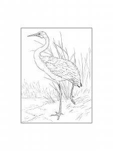 Coloring Pages Cranes 19