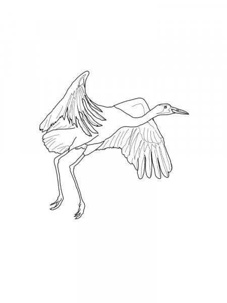 Crane coloring pages