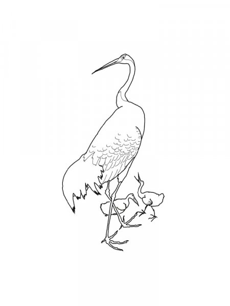 Crane coloring pages