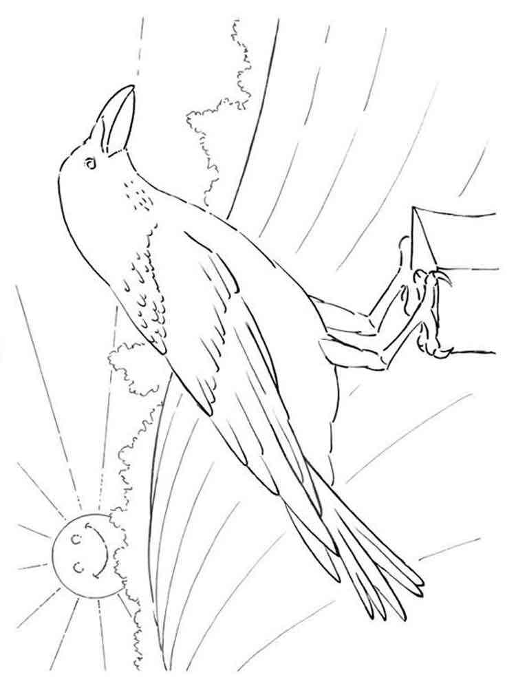 Download Crows coloring pages. Download and print Crows coloring pages