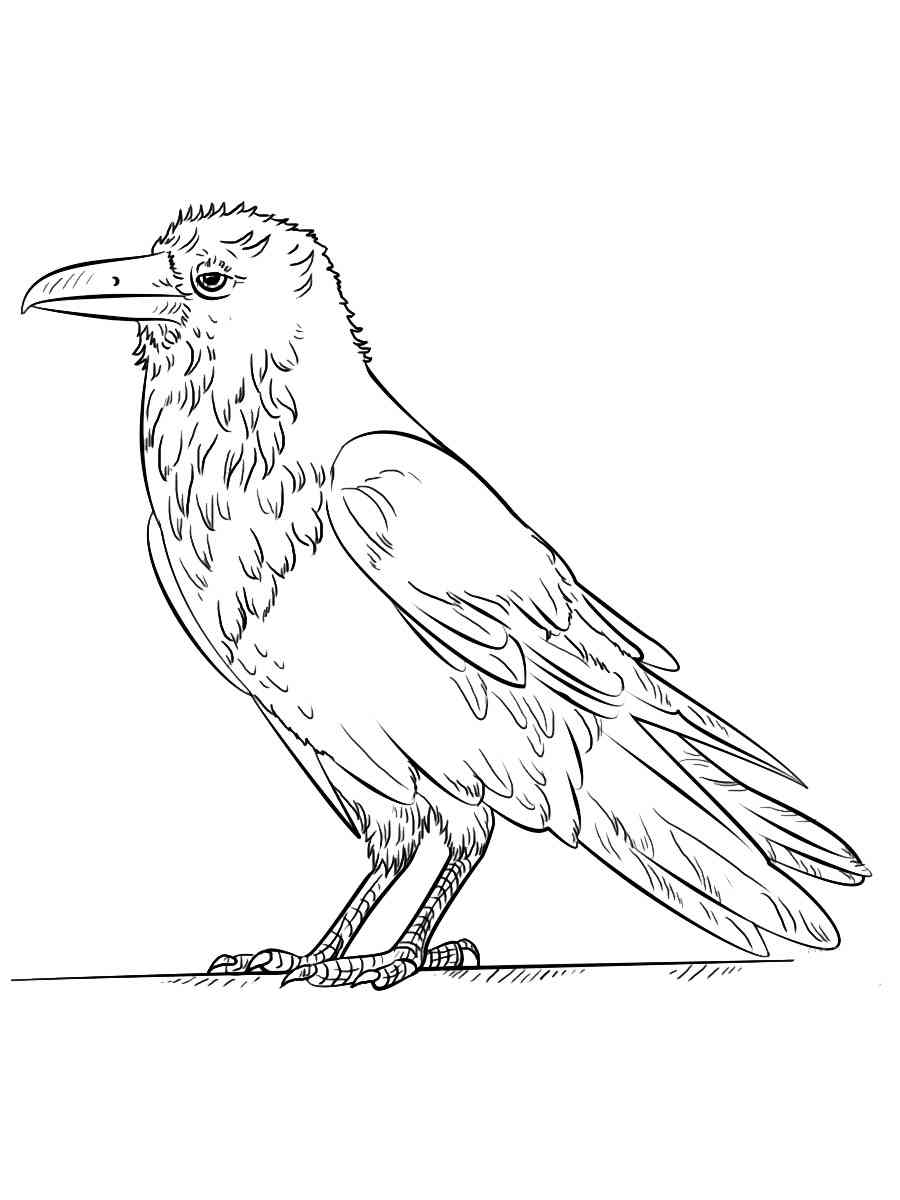 Рисунок ворона детский