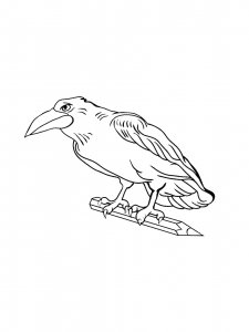 Coloring Pages Crows 19