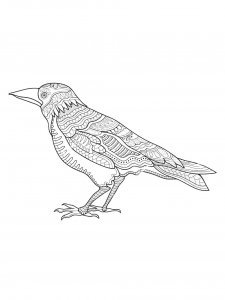 Coloring Pages Crows 23