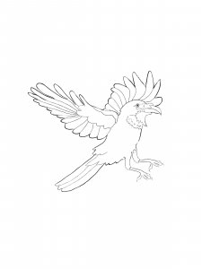 Coloring Pages Crows 29