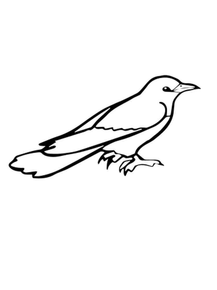 Download Cuckoo coloring pages. Download and print Cuckoo coloring pages
