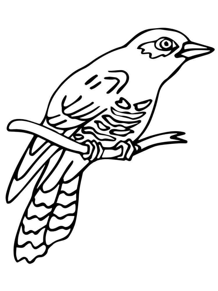 Download Cuckoo coloring pages. Download and print Cuckoo coloring ...