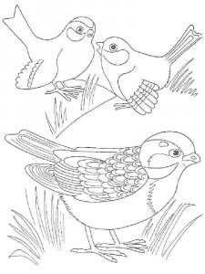 Cuckoo coloring page - picture 9