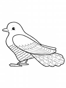 Cuckoo coloring page - picture 15