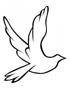 Dove coloring page - picture 44