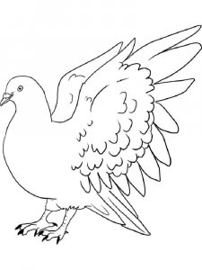Dove coloring page - picture 49