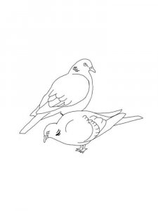 Dove coloring page - picture 37
