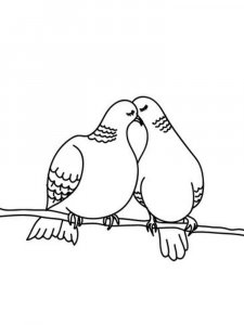 Dove coloring page - picture 41