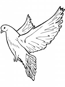 Dove coloring page - picture 10