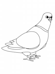 Dove coloring page - picture 15