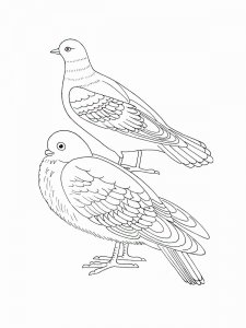 Dove coloring page - picture 18
