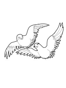 Dove coloring page - picture 19