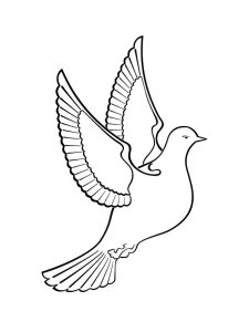 Dove coloring page - picture 20