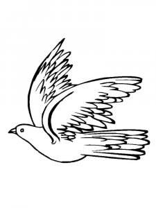Dove coloring page - picture 21